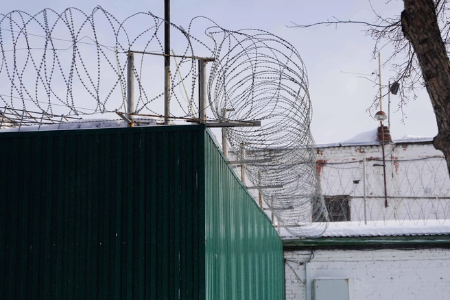 Несколько случаев, когда стремление к свободе обернулось настоящим фиаско. | Источник: Евгений Софийчук / NGS55.RU