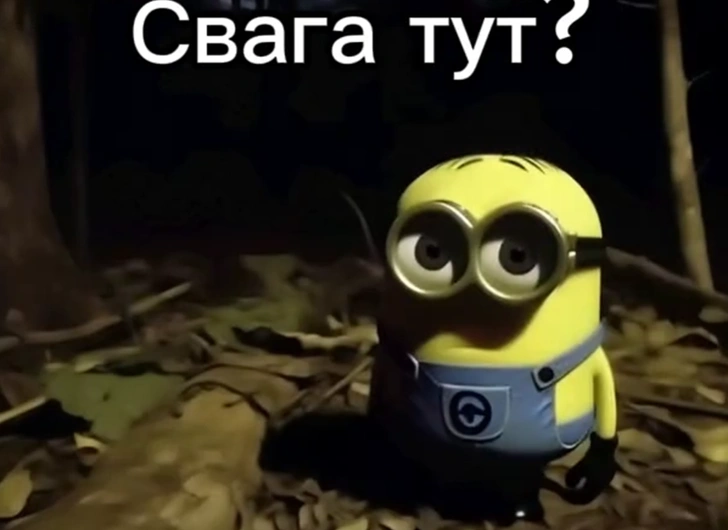 Источник: соцсети