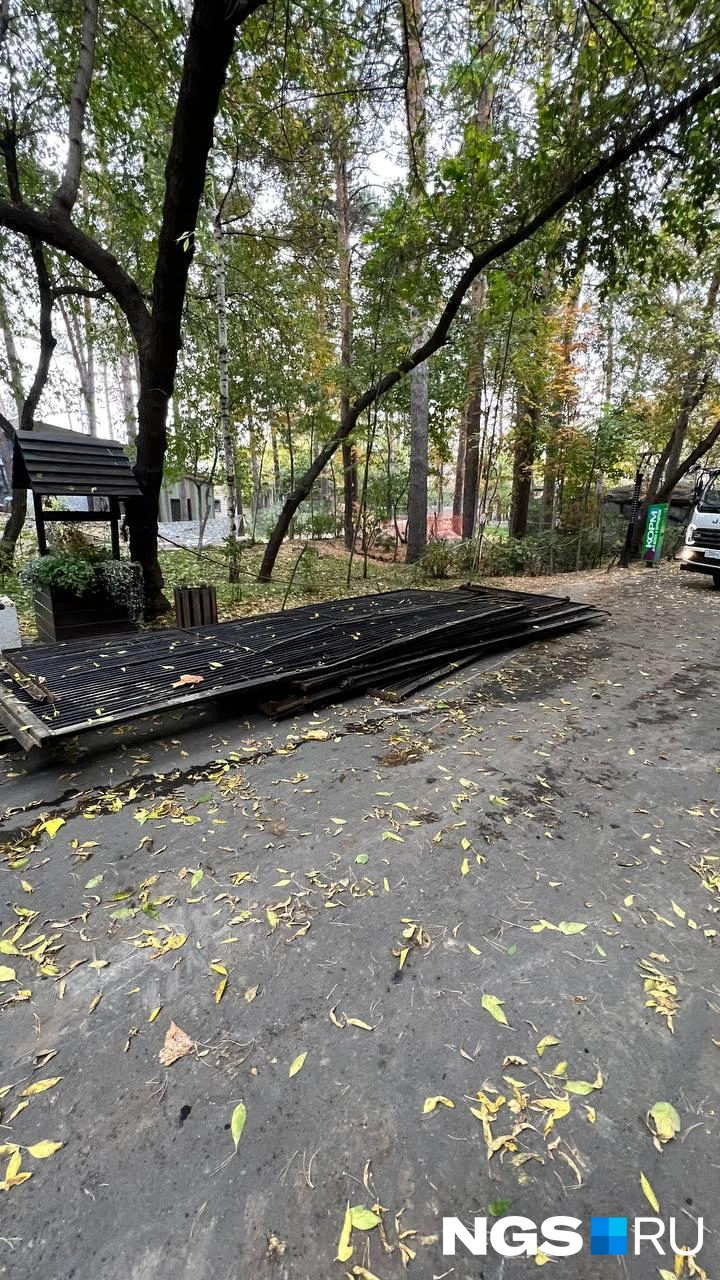 Источник: Анастасия Медведева / NGS.RU