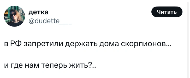 Источник: X (Twitter)