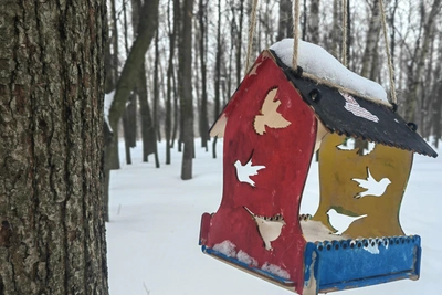 Рязанцы о реконструкции парка: деревья и парковка