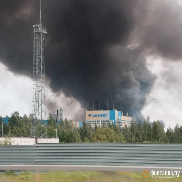 Источник: Валентин Егоршин / «Фонтанка.ру»