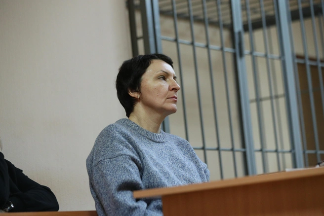 Адвокат Игоря Воложанина заявила, что он не действовал в корыстных целях | Источник: Андрей Бортко / NGS.RU