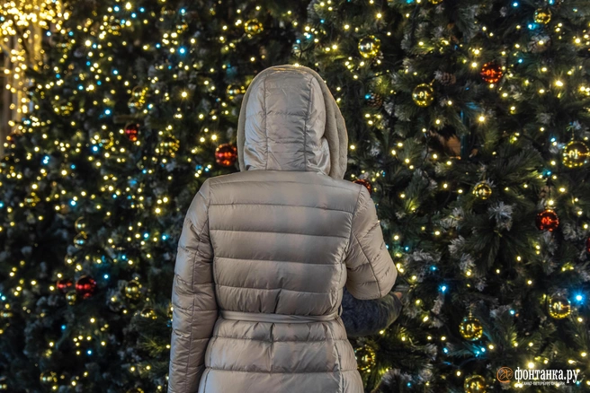 Прежде чем загадать желание у елки, посмотрите, что для вас подготовила Вселенная в 2026 году | Источник: Михаил Огнев / Fontanka.ru