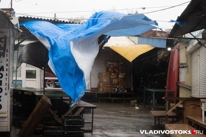 Последствия устраняют | Источник: Елена Буйвол / VLADIVOSTOK1.RU