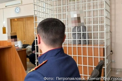 Следствие возбудило дело против опеки после инцидента с ребёнком