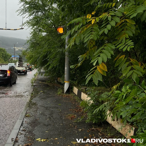 Источник: Елена Буйвол / VLADIVOSTOK1.RU