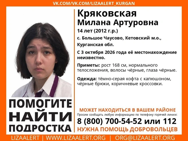 Источник: Поисковый отряд «ЛизаАлерт» Курганской области