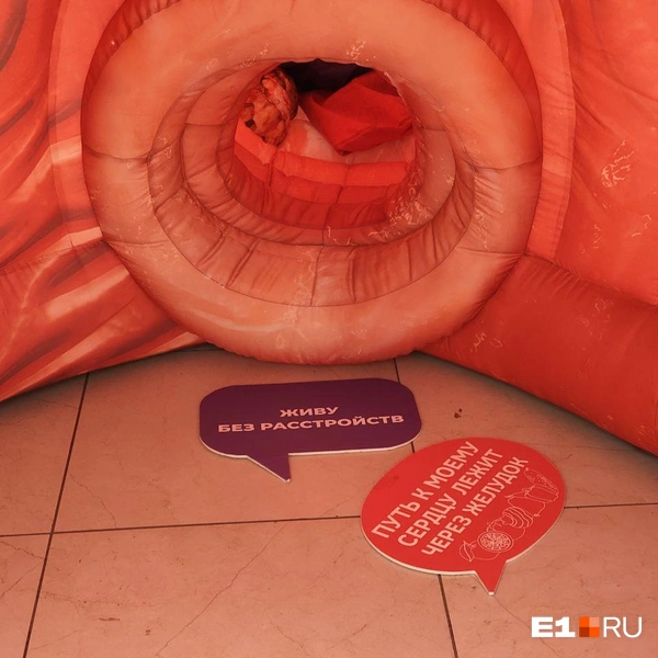 Источник: Анастасия Никифорова / E1.RU