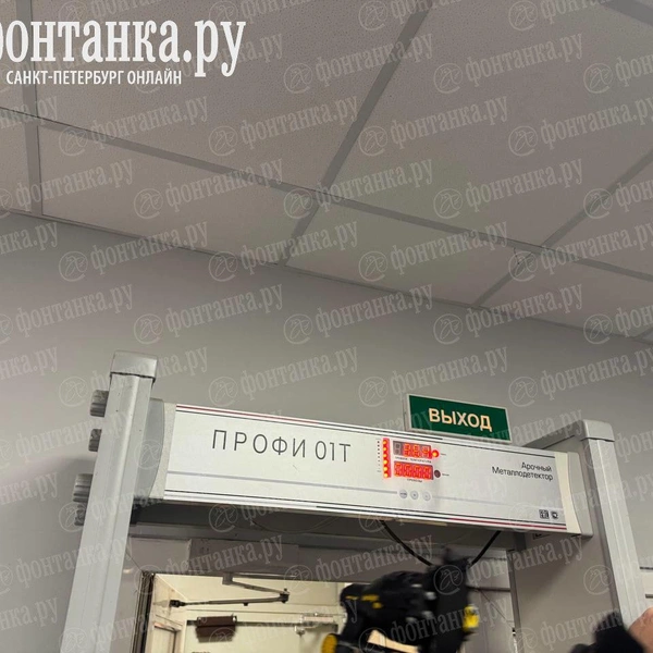 Источник: Ирина Лысак / «Фонтанка.ру»