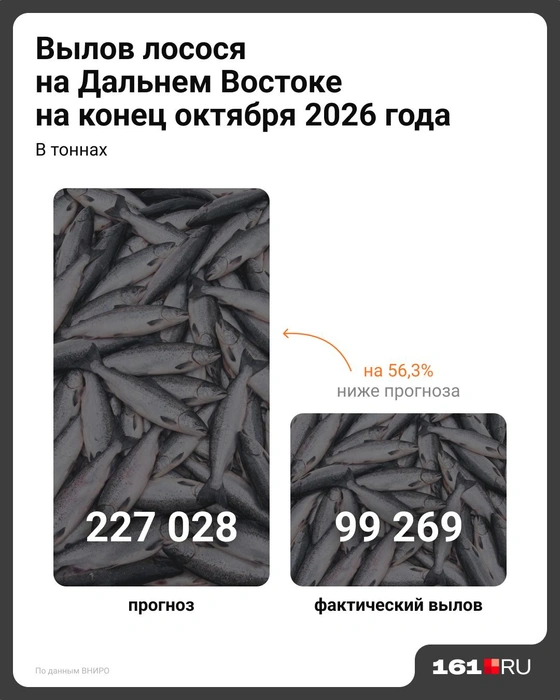 Источник: Евгения Бикунова / Городские медиа