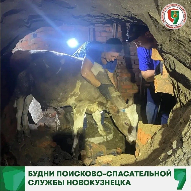 Источник: www.city-n.ru