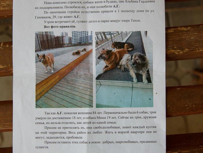 Группа поддержки Альбины Гордеевны писала в ведомства: «Сейчас их трое. Дружная семья. Их нельзя отделять друг от друга» | Источник: Vadim Reyman