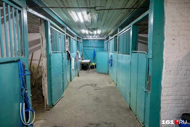 Так выглядит одна из конюшен | Источник: Евгений Вдовин / 161.RU