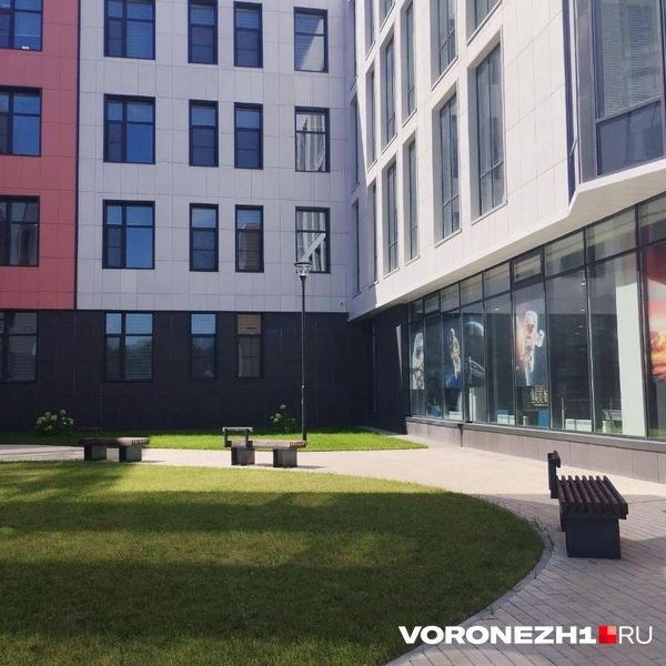 Источник: Дмитрий Волгин / Voronezh1.ru