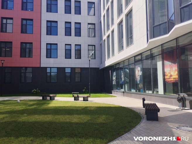 Источник: Дмитрий Волгин / Voronezh1.ru