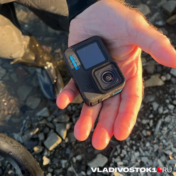 Источник: Елена Буйвол / VLADIVOSTOK1.RU