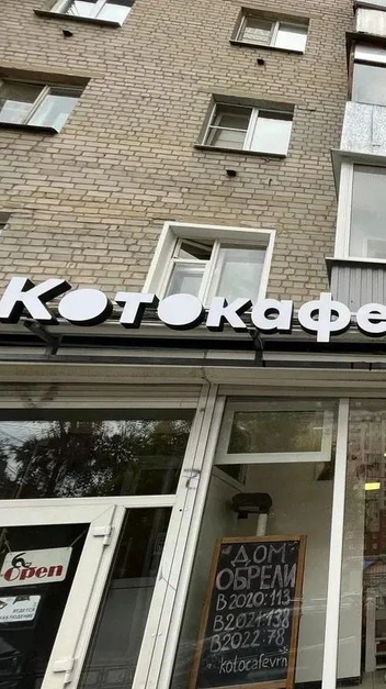 Яна мечтает создать приют, в котором котики без хозяев смогут лечиться бесплатно | Источник: Mr. Moore
