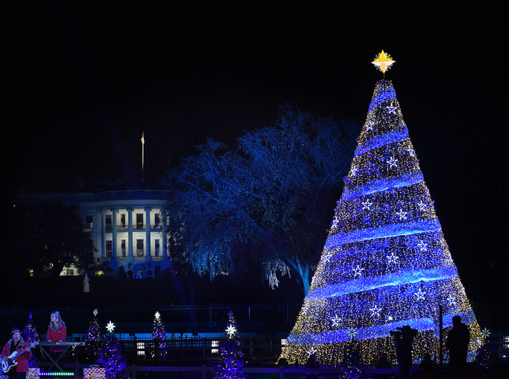 Мелания Трамп зажгла рождественскую елку