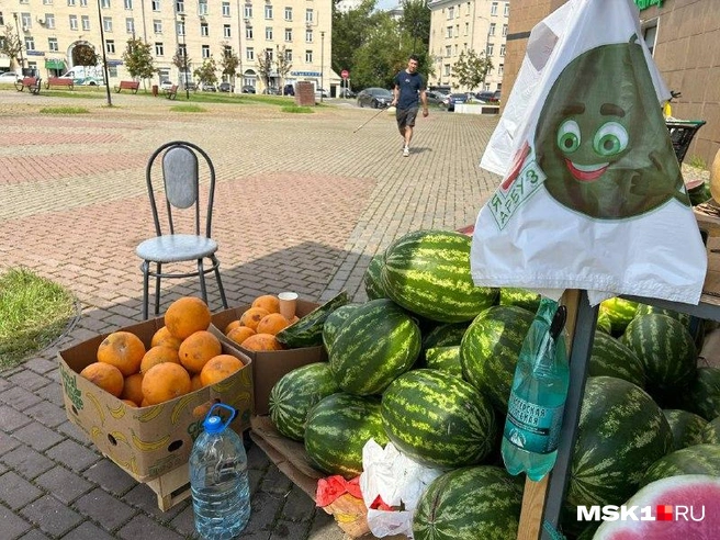 Источник: Римма Багдасарян / MSK1.RU