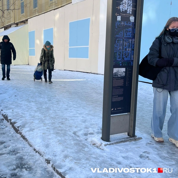 Источник: Елена Буйвол / VLADIVOSTOK1.RU