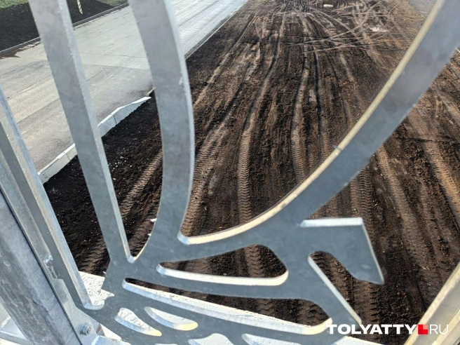 Почти на всех «Ладьях» появились такие острые колючки | Источник: Юлия Дроглева