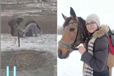 Погибшая зоозащитница из Омска была осуждена за наркотики