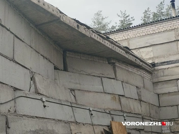 Источник: Дмитрий Волгин / Voronezh1.ru