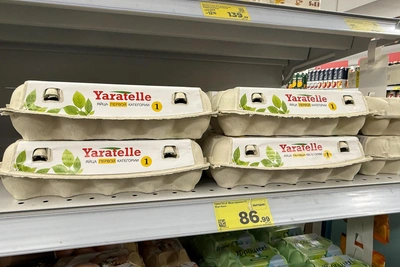 Яйца в Тульской области подорожали на 26% за полгода