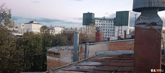 Источник: предоставлено Екатериной Герлах