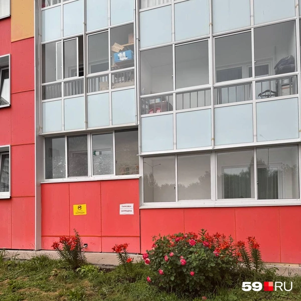 Неравнодушные жильцы украсили газон у одного из подъездов | Источник: читатель 59.RU