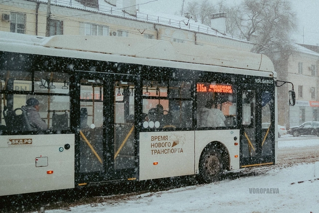 Только посмотрите, какие большие хлопья снега! | Источник: Юлия Воропаева