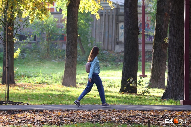 На следующей неделе наступит бабье лето, которое продлится около 10 дней | Источник: Владислав Лоншаков / E1.RU