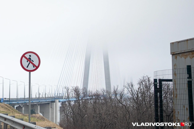 Источник: Елена Буйвол / VLADIVOSTOK1.RU