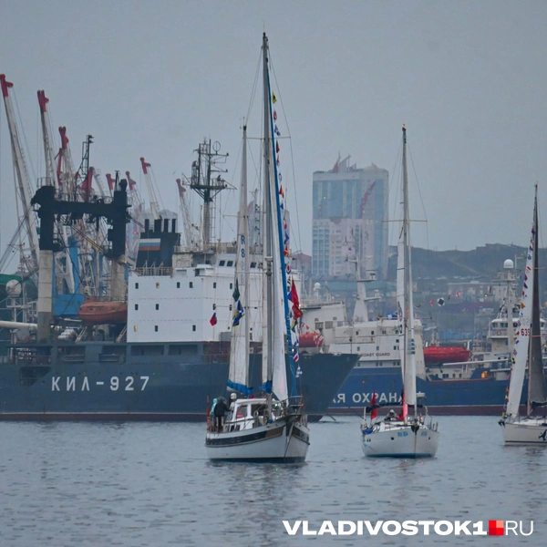 Источник: Елена Буйвол / VLADIVOSTOK1.RU