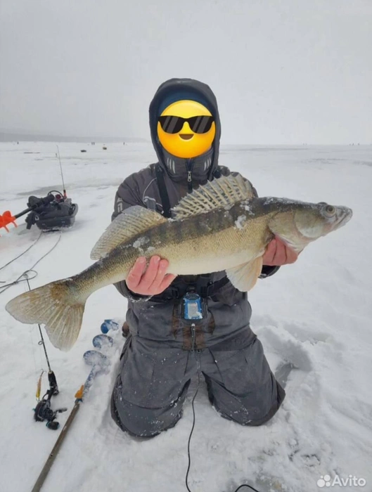В этих местах можно поймать судака и окуня | Источник: Avito.ru