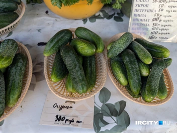 Продавцы говорят, что огурчики&nbsp;— топ | Источник: Алина Ринчино / «ИрСити»