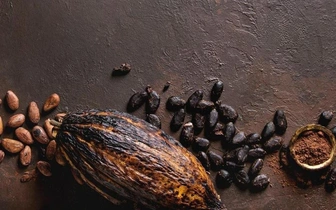 Картография: на какао-бобах