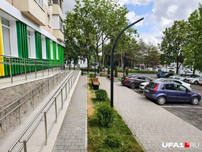 Зато их спиливать потом не надо | Источник: Булат Салихов / UFA1.RU
