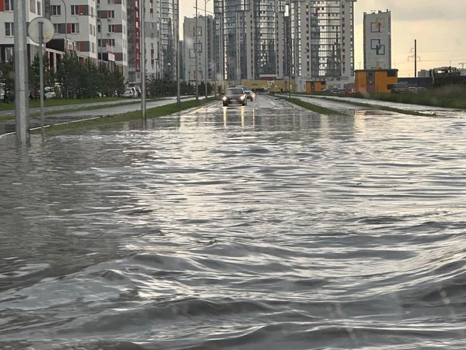 В Ново-Патрушево ситуация была такой | Источник: читатель 72.RU
