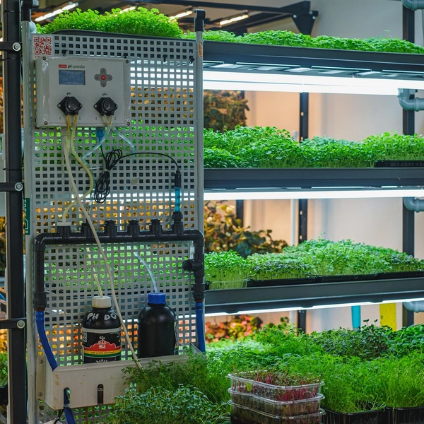 Эти стеллажи Анна изготавливает сама | Источник: Тимофей Калмаков / 59.RU