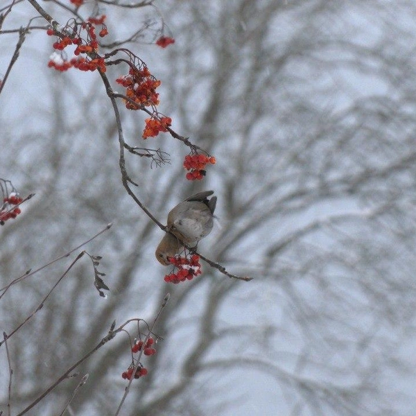 Источник: Каждой твари по паре / Telegram