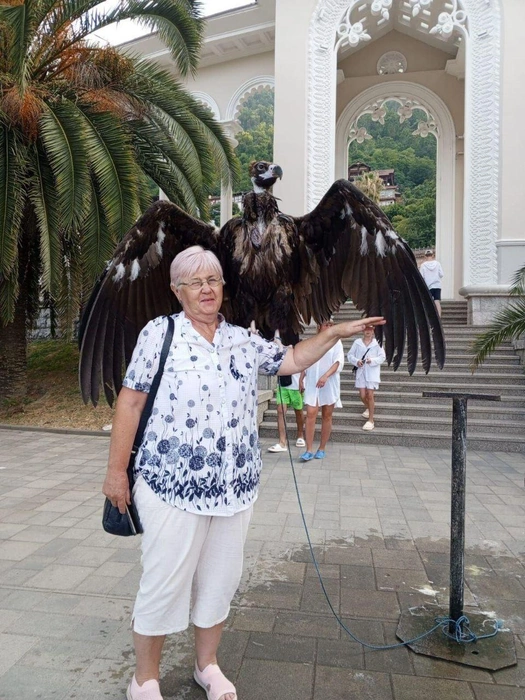 Источник: Вероника