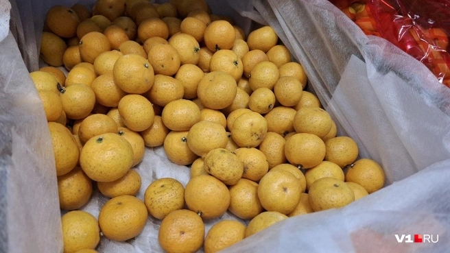 С виду — обычные мандарины. Только совсем маленькие | Источник: Тимофей Крылов / V1.RU