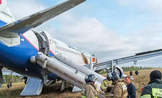 Чудо на пшеничном поле: рейс Сочи Омск экстренно сел из-за нехватки топлива все живы!