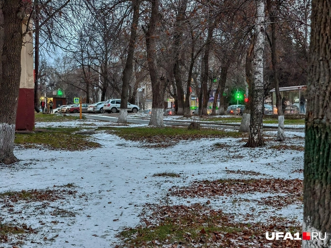 Источник: Булат Салихов / UFA1.RU