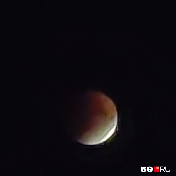 Источник: Ольга Кечина
