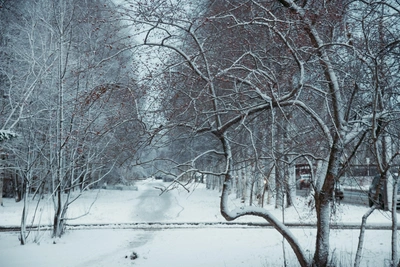 На Ставрополье на неделе ожидаются холод, туман и мокрый снег