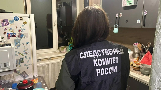 Всё в произошло в квартире семьи в Ленинском районе Воронежа. Следователи уже назначили необходимые экспертизы. | Источник: t.me/susk36vrn 