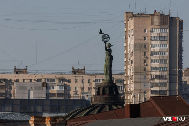 «Мир» виден в мельчайших деталях | Источник: Алексей Волхонский / V1.RU